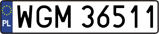 WGM36511