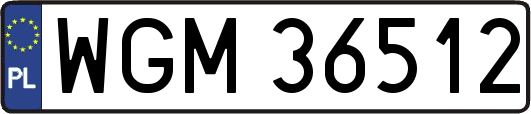 WGM36512