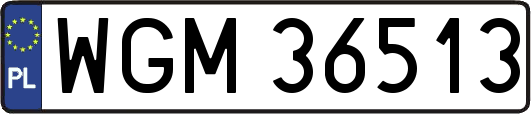 WGM36513