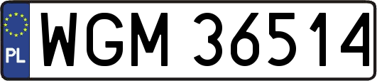 WGM36514