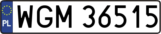 WGM36515