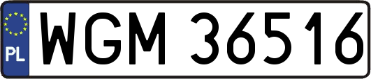 WGM36516