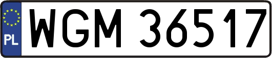WGM36517