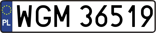 WGM36519