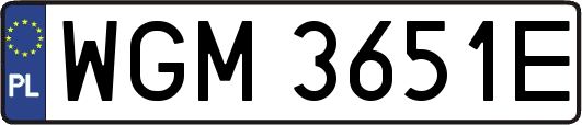 WGM3651E