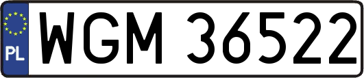WGM36522