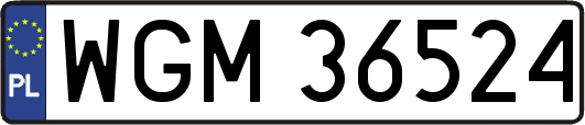 WGM36524