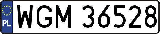 WGM36528