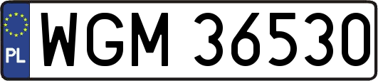 WGM36530