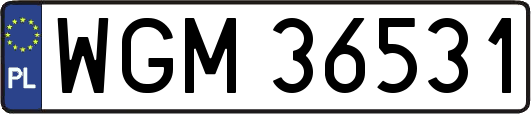 WGM36531