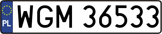 WGM36533