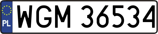 WGM36534