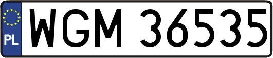 WGM36535