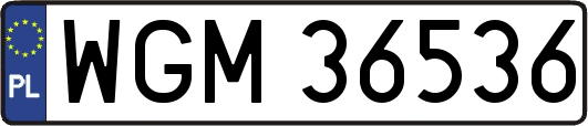 WGM36536