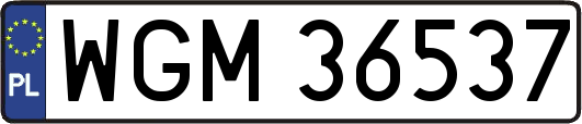 WGM36537
