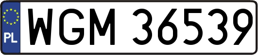 WGM36539