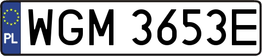 WGM3653E