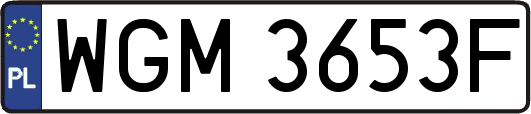 WGM3653F