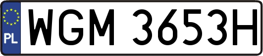 WGM3653H