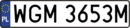 WGM3653M