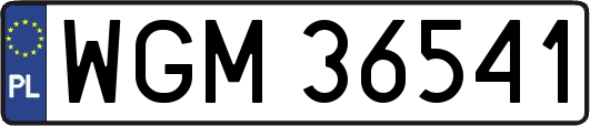WGM36541