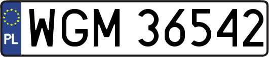 WGM36542