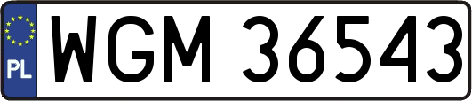 WGM36543