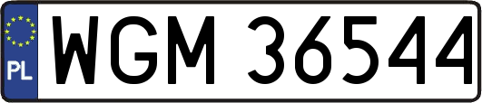 WGM36544
