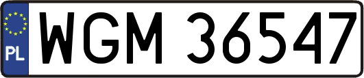 WGM36547