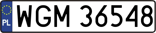 WGM36548