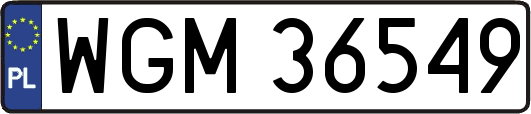 WGM36549