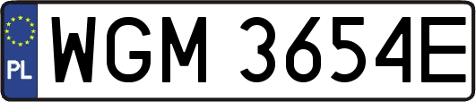WGM3654E