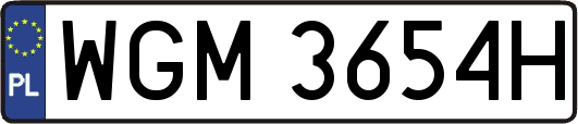 WGM3654H