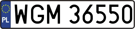 WGM36550