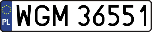 WGM36551