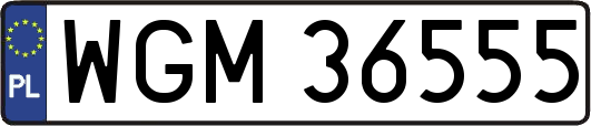WGM36555