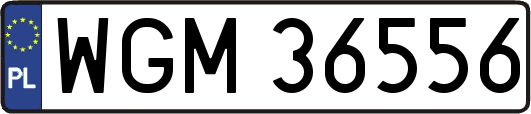 WGM36556