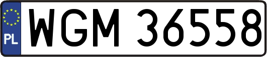 WGM36558