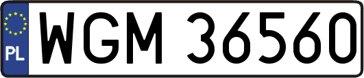 WGM36560