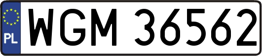 WGM36562