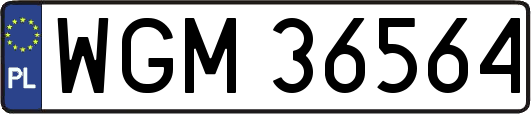 WGM36564