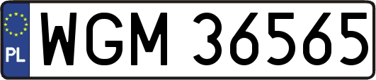 WGM36565