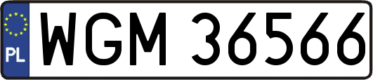 WGM36566