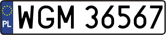 WGM36567