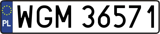 WGM36571