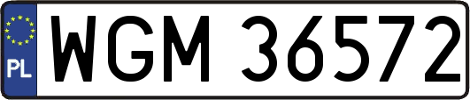 WGM36572