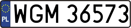 WGM36573