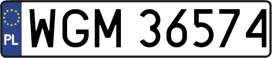 WGM36574