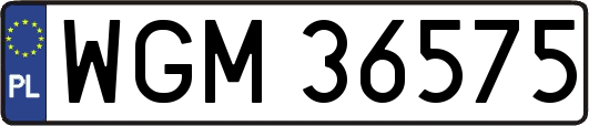 WGM36575