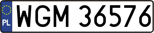 WGM36576